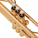 Yamaha YTR6335 Commercial series Bb trumpet outfit