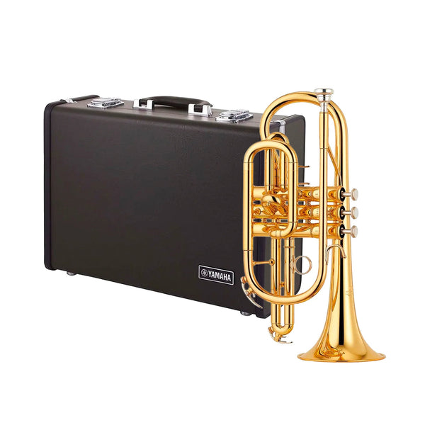 Yamaha YCR6330II professional model Bb cornet - Gold lacquer