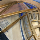 Bluthner Model 11 5'1 Grand Piano In Polished Ebony