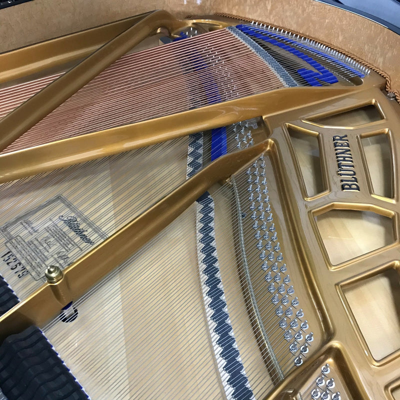 Bluthner Model 11 5'1 Grand Piano In Polished Ebony