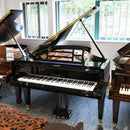 Restored Bluthner Style 7 'Jubilee' grand piano in polished ebony