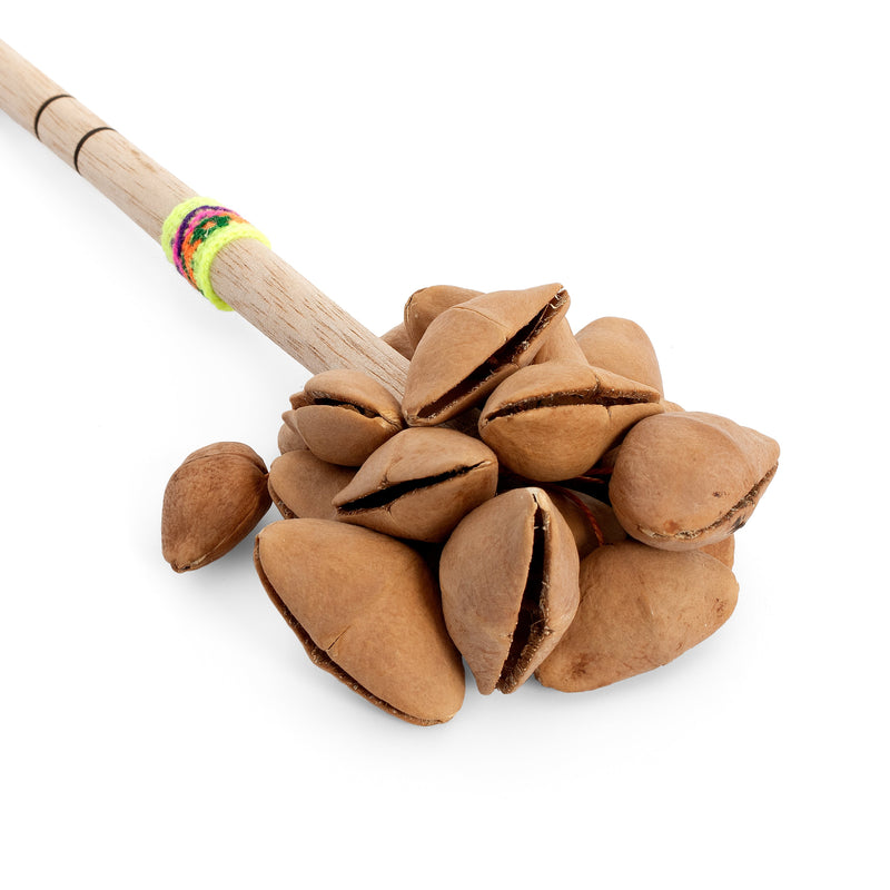 Percussion Plus Honestly Made cha cha on a stick