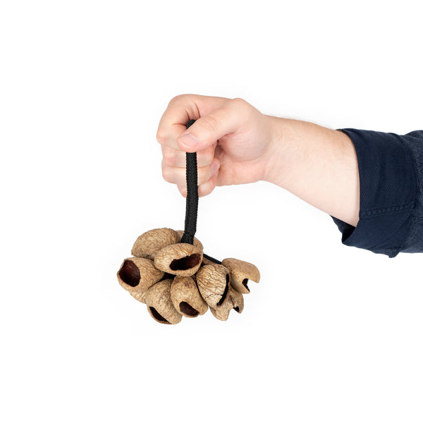 Percussion Plus Honestly Made nut cluster shaker