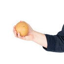 Percussion Plus Honestly Made large coco shaker