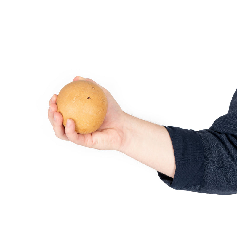 Percussion Plus Honestly Made large coco shaker