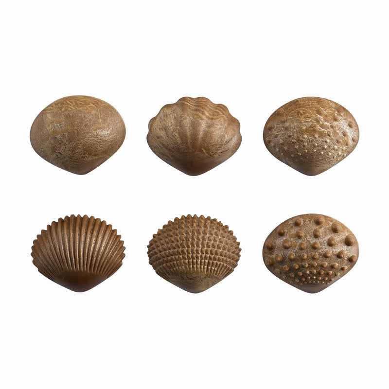 Green-n-learn
Sensory Shells PK36