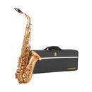 Jp Instruments Jp041 E♭ Alto Saxophone Outfit