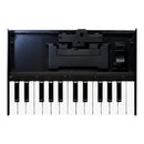 Roland K-25M 25 key velocity sensitive keyboard