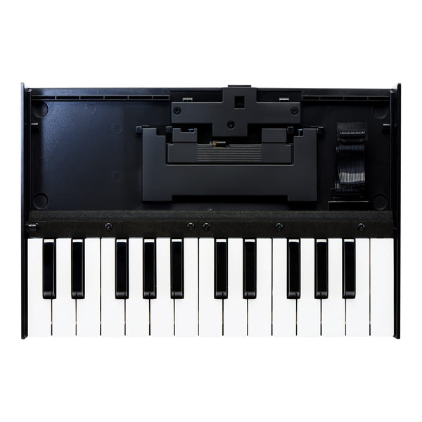Roland K-25M 25 key velocity sensitive keyboard