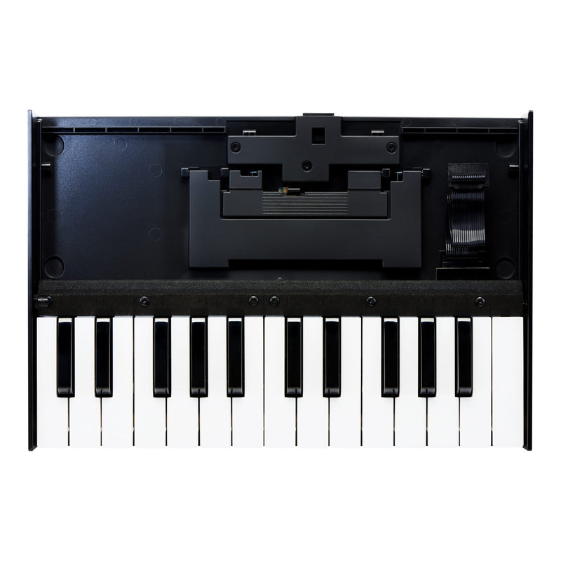 Roland K-25M 25 key velocity sensitive keyboard