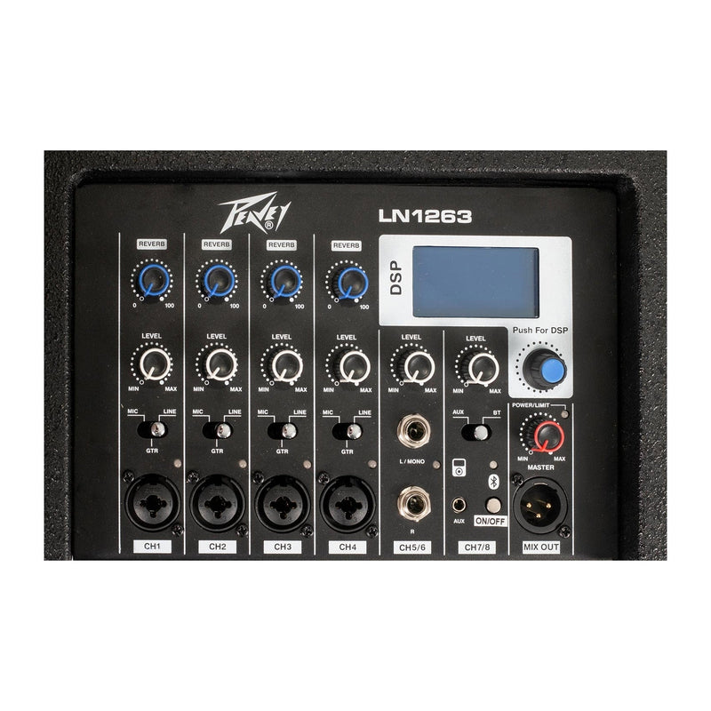 Peavey LN1263 Column Array PA system