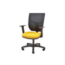 TASK/ OPERATOR CHAIRS, MESH BACK WITH LUMBAR SUPPORT, With Height Adjustable Arms, Blizzard