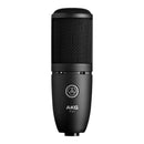 AKG perception P120 2/3" condenser microphone