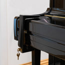 Piano Workshop ''Hands Off'' piano lock kit
