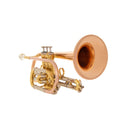 John Packer JP171SW Smith-Watkins intermediate Bb cornet outfit