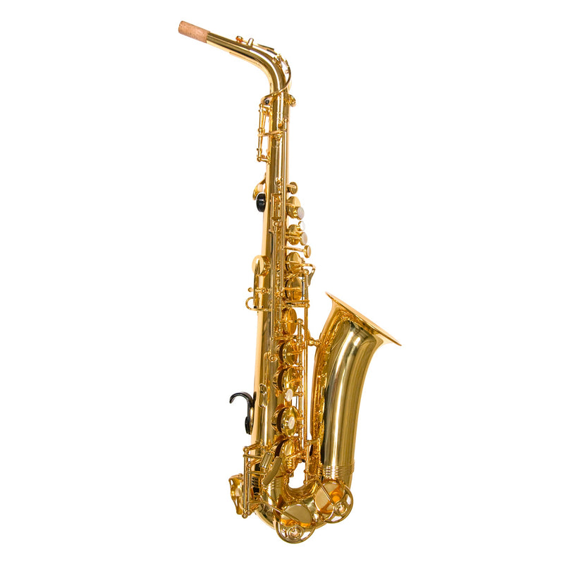 Trevor James Alphasax Student E♭ Alto Saxophone Outfit