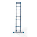 TELESCOPIC LADDER: EN131-6, Each