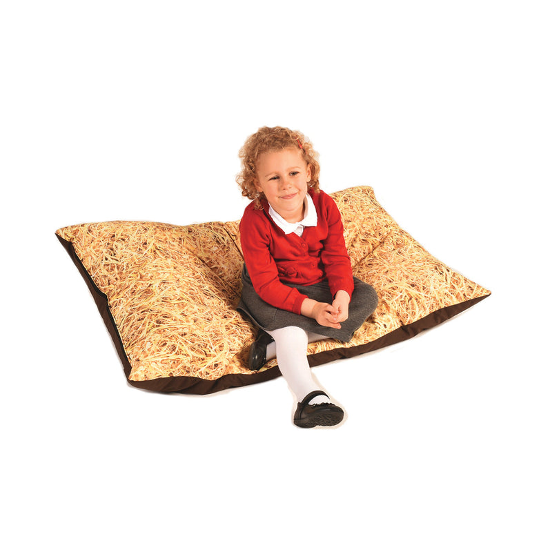 Bean Bag Cushion 1100x750mm Each, Straw