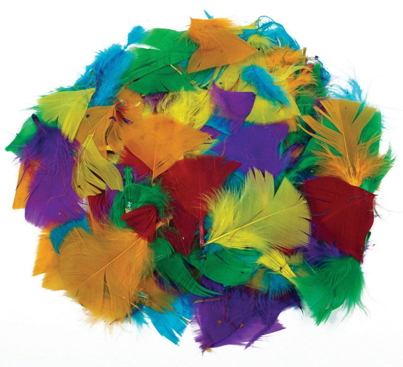 Coloured Feathers 28g