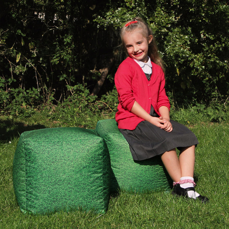 Learn about Nature Grass Bean Bag Cubes pk 2