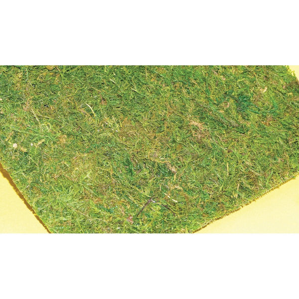 Moss-Sheets-