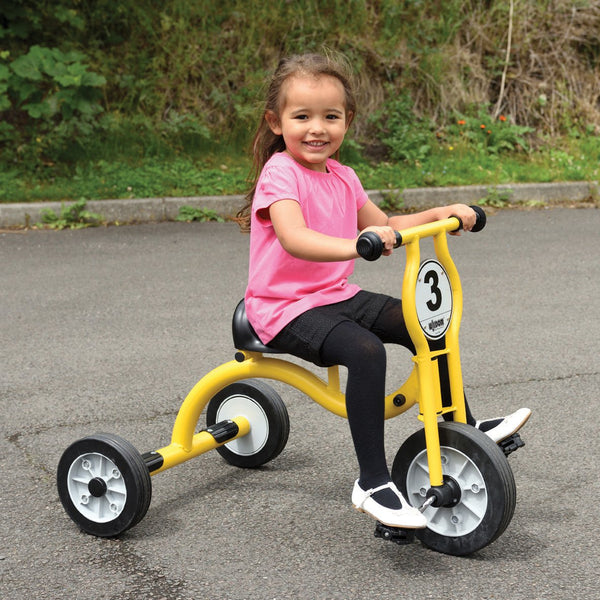 Wisdom-Large-Trike-