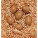 Sensory-Sound-Eggs-pk-6-pk-6