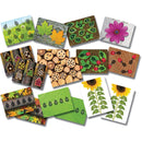 Ladybugs-Early-Number-Cards-pk-16