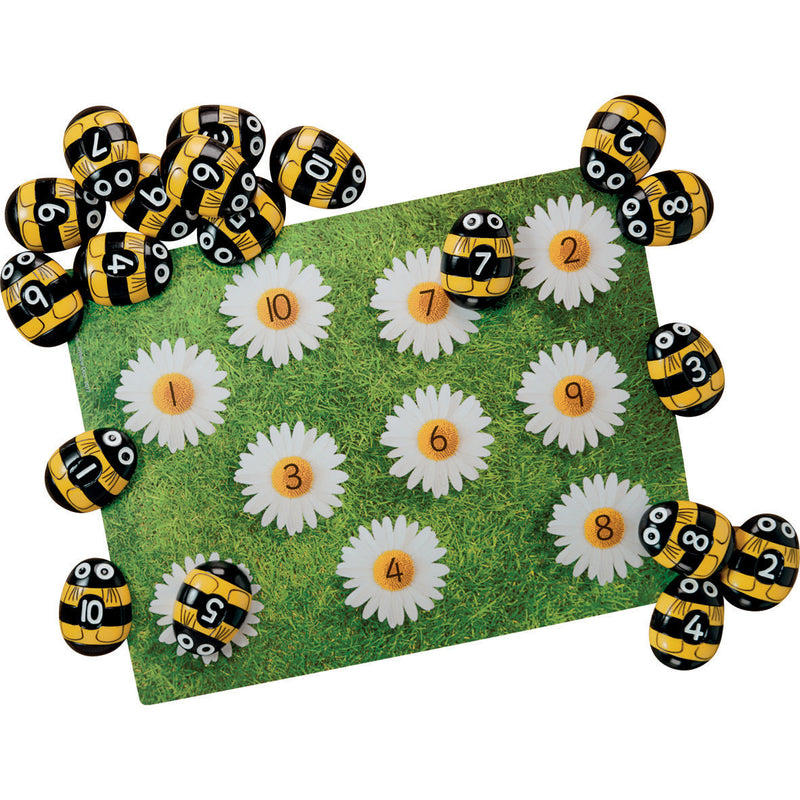 Honey Bee Early Number Cards pk 16