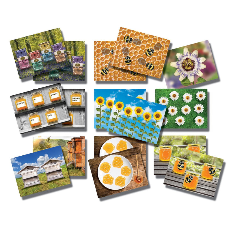 Honey-Bee-Early-Number-Cards-pk-16