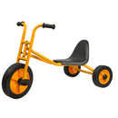 RABO¬¨¬®‚àö√ú Tricart 2000