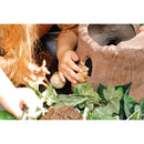 Small World Tree Stump