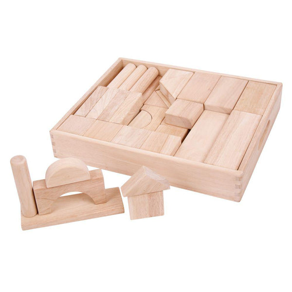 Large Wooden Blocks Collection