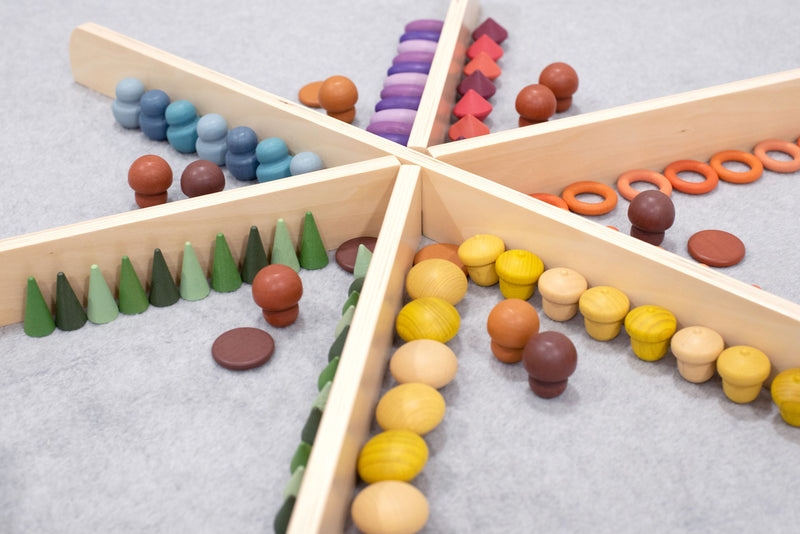 Wooden Discovery Dividers