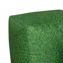 Learn about Nature Grass Bean Bag Cubes pk 2