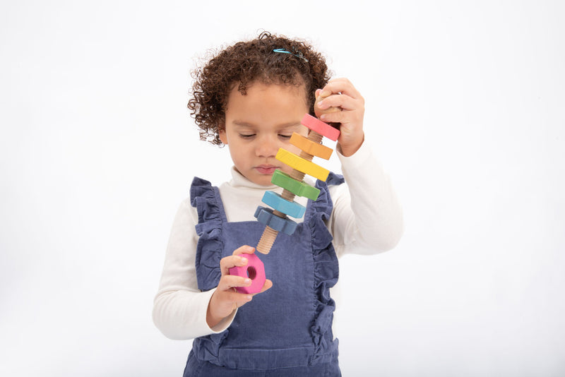 Rainbow Wooden Shape Twister