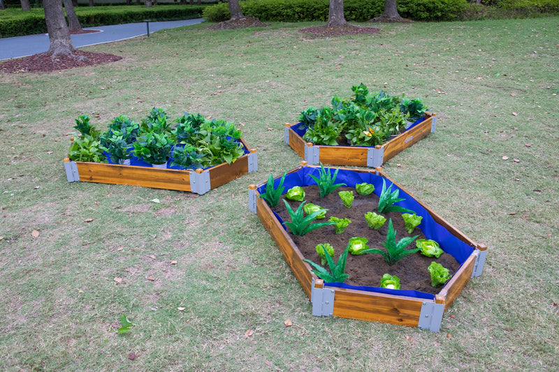 Little Garden Hexagonal Planting Set