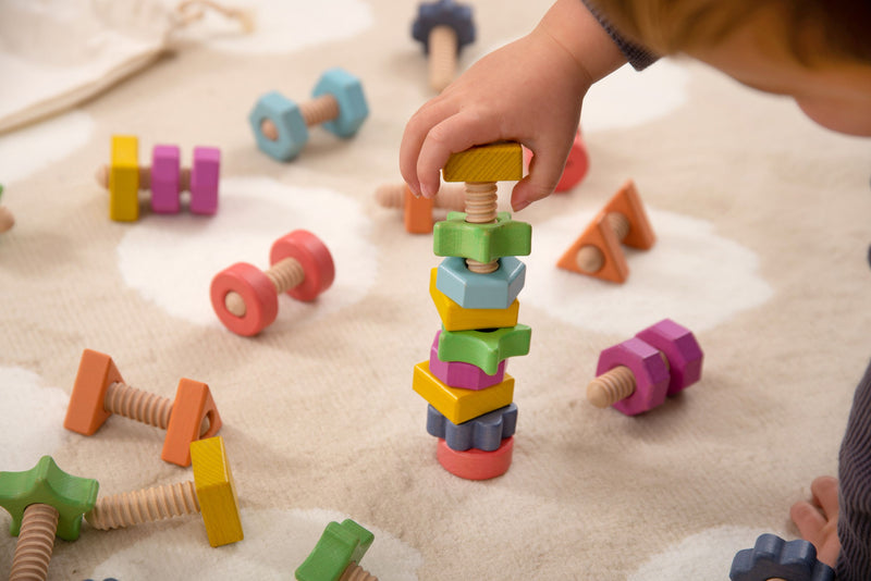 Rainbow Wooden Nuts & Bolts