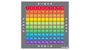 100 Square Counting Grid Carpet