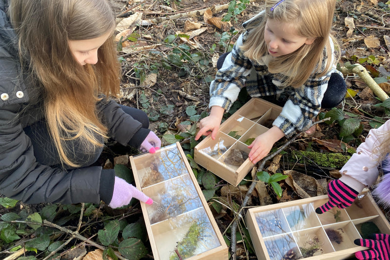 Wooden Discovery Boxes