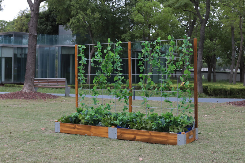 Little Garden Long Fence