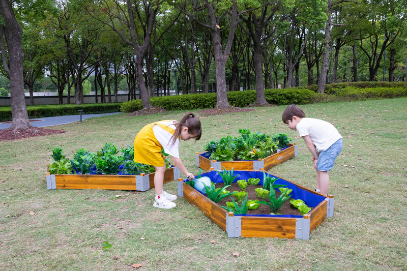 Little Garden Hexagonal Planting Set