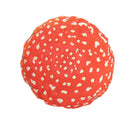 Learn About Nature Large Toad Stool pk 2