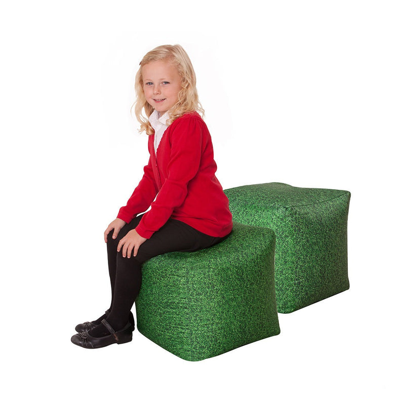 Learn about Nature Grass Bean Bag Cubes pk 2