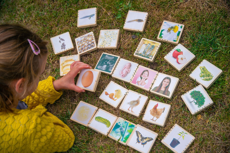 Wooden Lifecycle Tiles