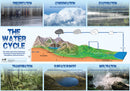 Water Cycle Poster
