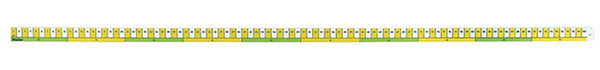 EARLY LEARNING RULER 1M, Each