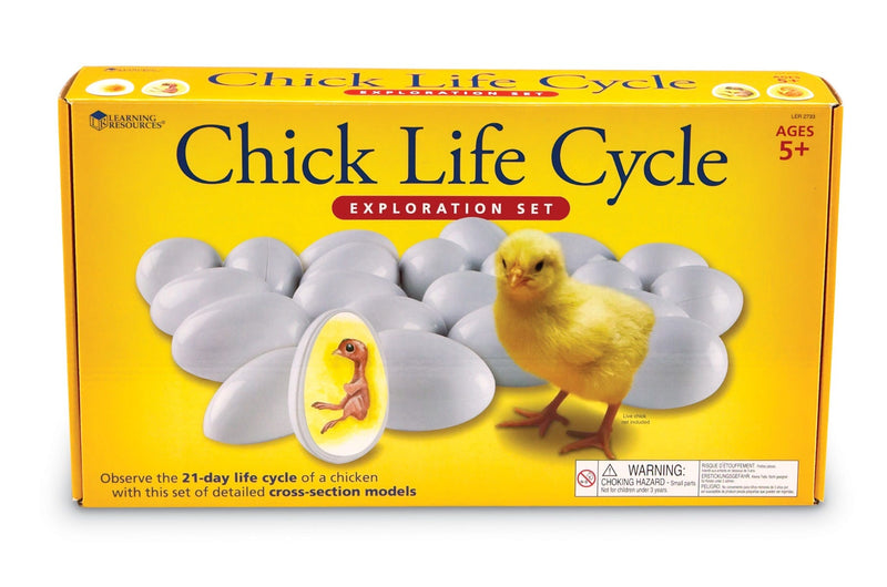 Chick Life Cycle Exploration Set