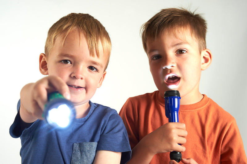 Handy Led Torch