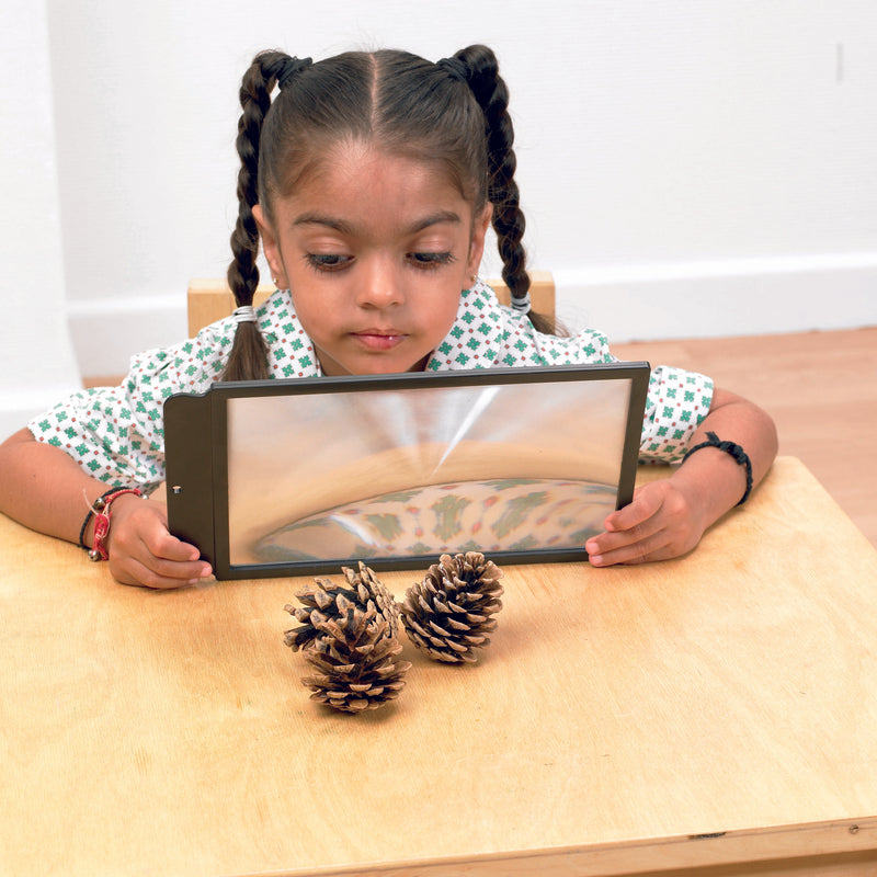 Large Sheet Magnifier